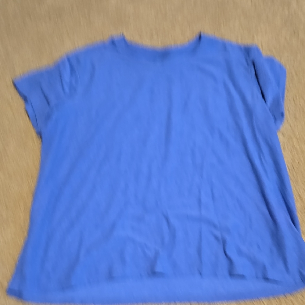 Blue Women's Top
